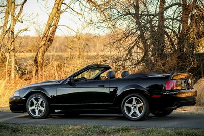 2003 Ford Mustang SVT Cobra   - Photo 11 - Rockville, MD 20850