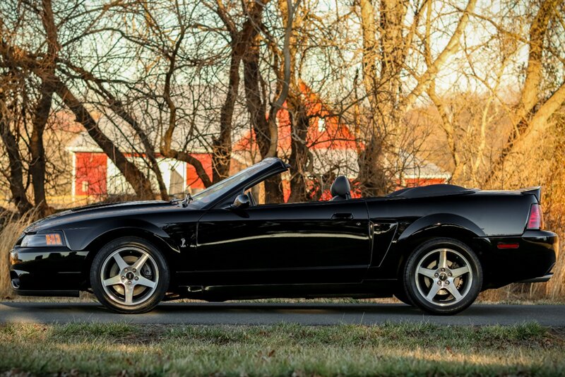 2003 Ford Mustang SVT Cobra   - Photo 7 - Rockville, MD 20850