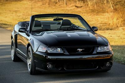 2003 Ford Mustang SVT Cobra   - Photo 3 - Rockville, MD 20850