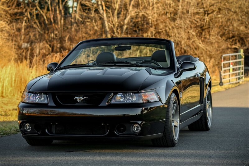 2003 Ford Mustang SVT Cobra   - Photo 9 - Rockville, MD 20850