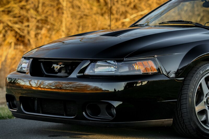 2003 Ford Mustang SVT Cobra   - Photo 19 - Rockville, MD 20850