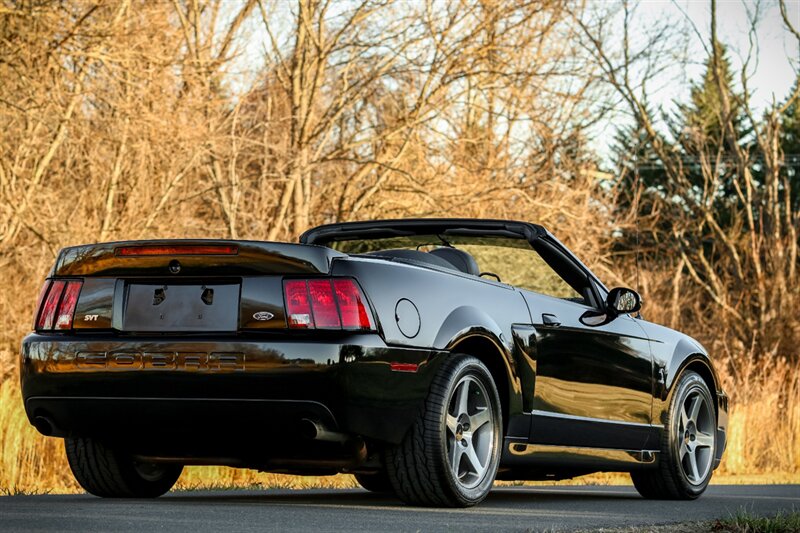 2003 Ford Mustang SVT Cobra   - Photo 13 - Rockville, MD 20850