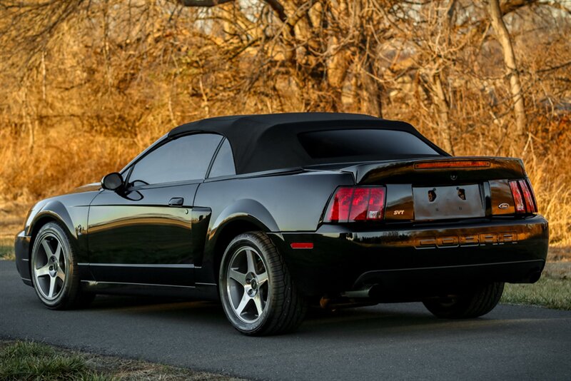 2003 Ford Mustang SVT Cobra   - Photo 17 - Rockville, MD 20850