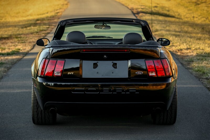 2003 Ford Mustang SVT Cobra   - Photo 6 - Rockville, MD 20850