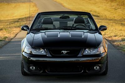 2003 Ford Mustang SVT Cobra   - Photo 5 - Rockville, MD 20850