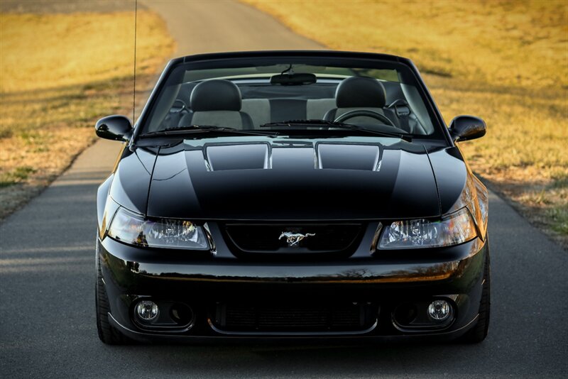 2003 Ford Mustang SVT Cobra   - Photo 5 - Rockville, MD 20850