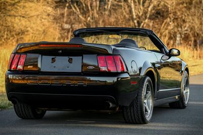 2003 Ford Mustang SVT Cobra   - Photo 2 - Rockville, MD 20850