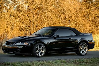 2003 Ford Mustang SVT Cobra   - Photo 15 - Rockville, MD 20850