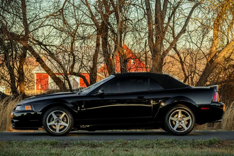 2003 Ford Mustang SVT Cobra   - Photo 16 - Rockville, MD 20850