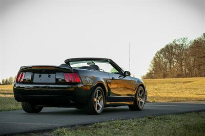 2003 Ford Mustang SVT Cobra   - Photo 10 - Rockville, MD 20850