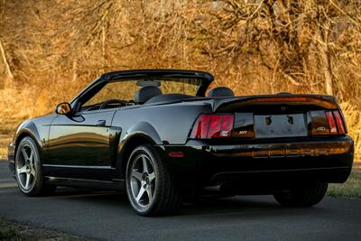 2003 Ford Mustang SVT Cobra   - Photo 4 - Rockville, MD 20850