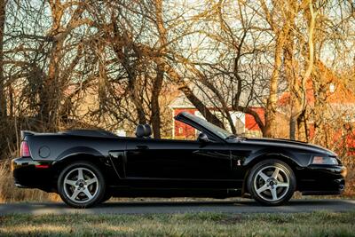 2003 Ford Mustang SVT Cobra   - Photo 8 - Rockville, MD 20850