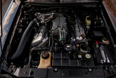 2003 Ford Mustang SVT Cobra   - Photo 80 - Rockville, MD 20850