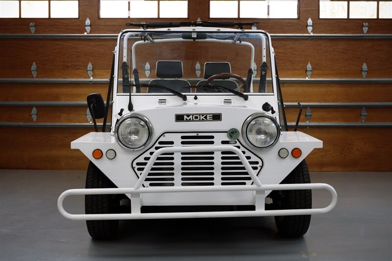 2017 ACG Mini Moke (Electric)   - Photo 6 - Rockville, MD 20850