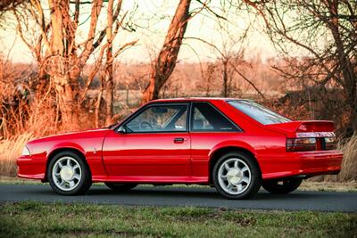 1993 Ford Mustang SVT Cobra   - Photo 15 - Rockville, MD 20850