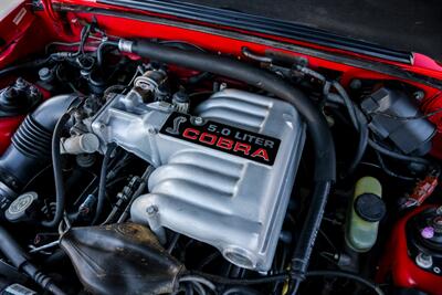 1993 Ford Mustang SVT Cobra   - Photo 78 - Rockville, MD 20850