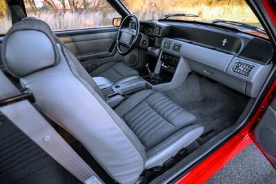 1993 Ford Mustang SVT Cobra   - Photo 51 - Rockville, MD 20850