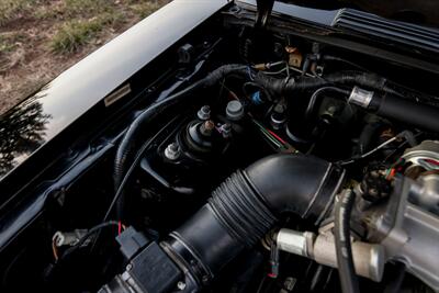 1993 Ford Mustang SVT Cobra   - Photo 82 - Rockville, MD 20850