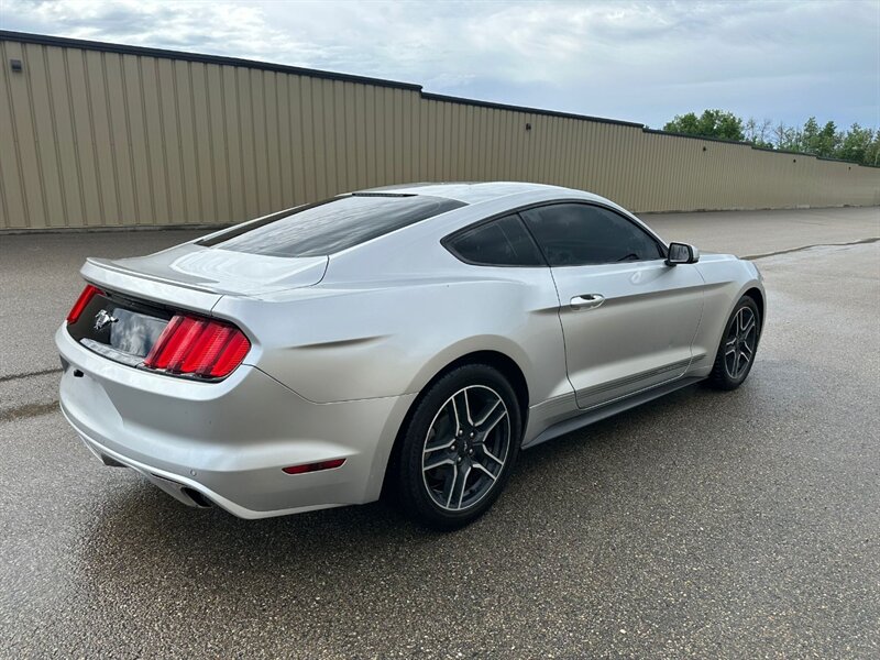 2017 Ford Mustang EcoBoost - Photo 8 - St Albert, AB T8N 3Z7
