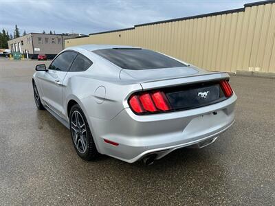 2017 Ford Mustang EcoBoost - Photo 6 - St Albert, AB T8N 3Z7