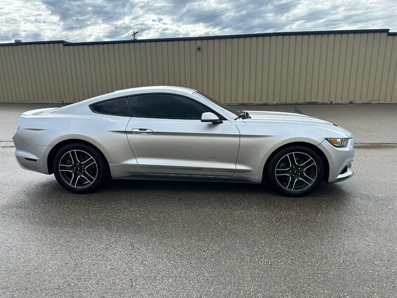 2017 Ford Mustang EcoBoost - Photo 4 - St Albert, AB T8N 3Z7