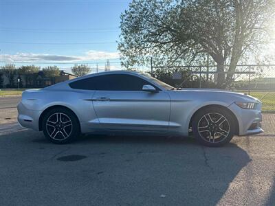 2017 Ford Mustang EcoBoost - Photo 4 - Edmonton, AB T5L 2J7