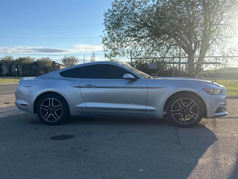 2017 Ford Mustang EcoBoost - Photo 4 - Edmonton, AB T5L 2J7