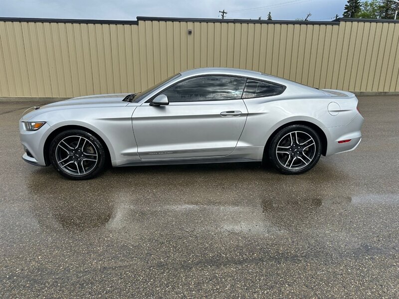 2017 Ford Mustang EcoBoost - Photo 2 - St Albert, AB T8N 3Z7
