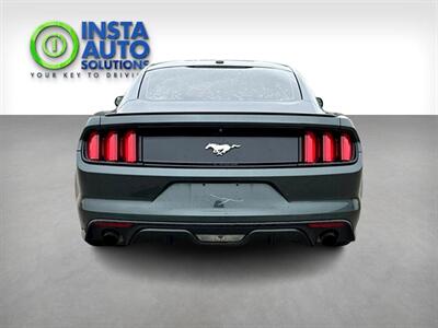 2015 Ford Mustang EcoBoost   - Photo 4 - Edmonton, AB T5L 2J7