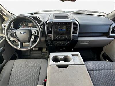 2016 Ford F-150 XLT  4x4 - Photo 10 - Acheson, AB T7X 5A3