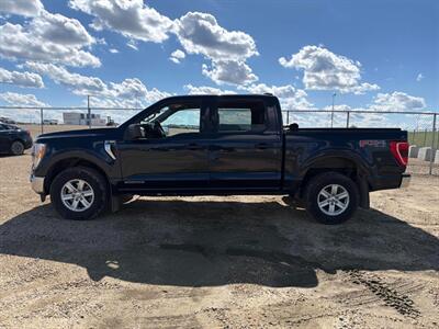 2022 Ford F-150 XLT FX4 3.5L Eco Boost 4x4 - Photo 5 - St Albert, AB T8N 3Z7