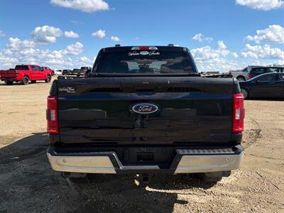 2022 Ford F-150 XLT FX4 3.5L Eco Boost 4x4 - Photo 8 - St Albert, AB T8N 3Z7