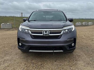 2019 Honda Pilot EX  AWD - Photo 5 - St Albert, AB T8N 3Z7