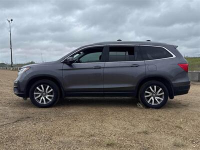2019 Honda Pilot EX  AWD - Photo 3 - St Albert, AB T8N 3Z7