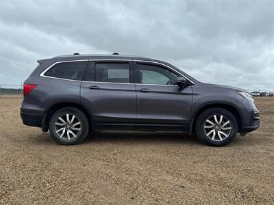 2019 Honda Pilot EX  AWD - Photo 4 - St Albert, AB T8N 3Z7