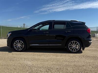 2023 GMC Terrain Denali AWD - Photo 4 - St Albert, AB T8N 3Z7