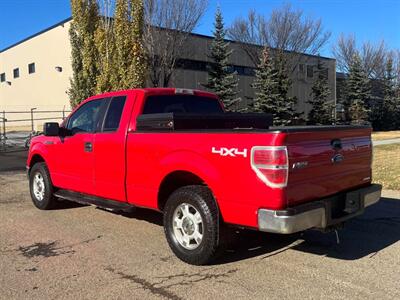 2014 Ford F-150 XLT  4x4 - Photo 3 - Edmonton, AB T5L 2J7