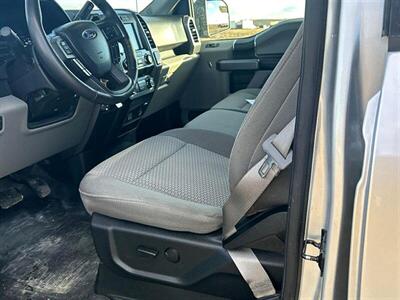 2019 Ford F-150 XLT  4x4 - Photo 10 - St Albert, AB T8N 3Z7