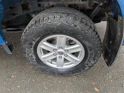 2021 Ford F-150 XLT 4x4 - Photo 10 - St Albert, AB T8N 3Z7