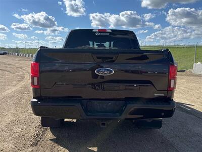 2019 Ford F-150 Lariat Sport 4x4 - Photo 8 - St Albert, AB T8N 3Z7