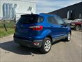 2020 Ford EcoSport SE  4x4 - Photo 6 - Acheson, AB T7X 5A3