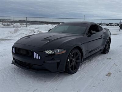 2019 Ford Mustang EcoBoost   - Photo 1 - Edmonton, AB T5L 2J7