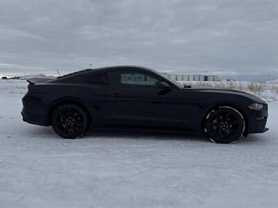 2019 Ford Mustang EcoBoost   - Photo 4 - Edmonton, AB T5L 2J7