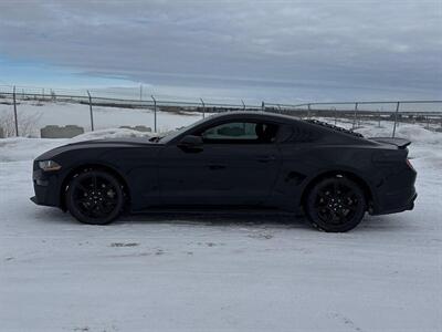 2019 Ford Mustang EcoBoost   - Photo 2 - Edmonton, AB T5L 2J7