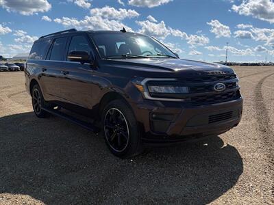2023 Ford Expedition MAX Limited 4x4 - Photo 6 - St Albert, AB T8N 3Z7