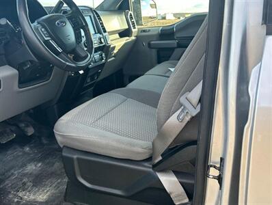 2019 Ford F-150 XLT 2.7L Eco Boost 4x4 - Photo 11 - St Albert, AB T8N 3Z7