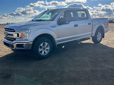 2019 Ford F-150 XLT 2.7L Eco Boost  4x4 Truck