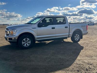 2019 Ford F-150 XLT 2.7L Eco Boost 4x4 - Photo 3 - St Albert, AB T8N 3Z7