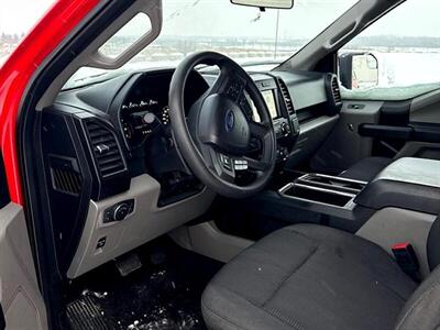 2019 Ford F-150 XLT STX 4x4   - Photo 9 - Edmonton, AB T5L 2J7