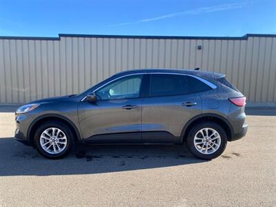 2020 Ford Escape SE  AWD - Photo 2 - St Albert, AB T8N 3Z7